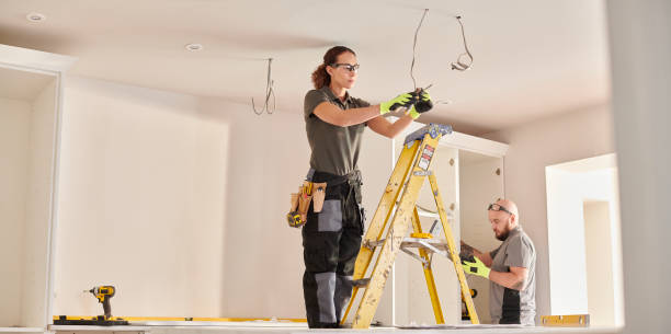 Best Electrician Near Me  in Mount Olive, IL