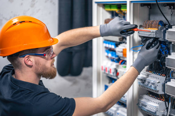 Best Electrical System Inspection  in Mount Olive, IL
